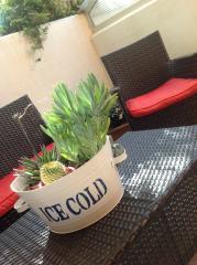 Ca' D'oro Hotel